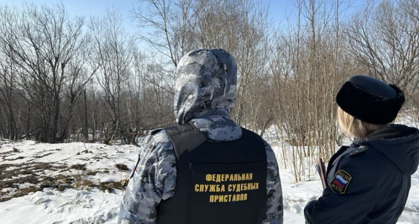 Приставы на Камчатке вернули городу землю