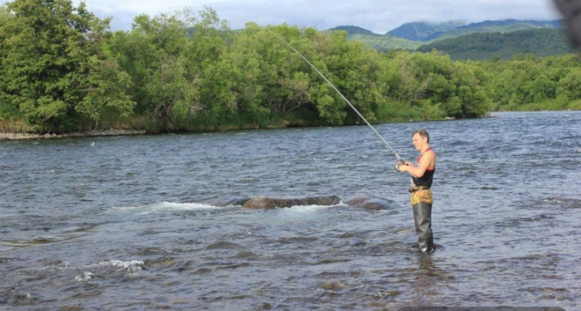На Сахалине рыбаки могут бесплатно ловить горбушу: а что на Камчатке? 