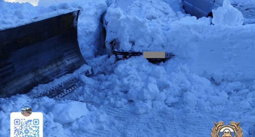 Тяжелая техника в столице Камчатки давит «подснежники»