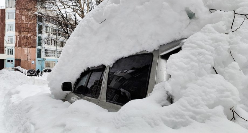 На Камчатке запустили еще один номер горячей линии для жалоб на расчистку