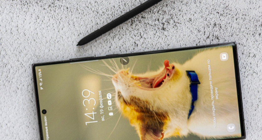 Жителю Камчатки не удался трюк с присвоением дорогого смартфона