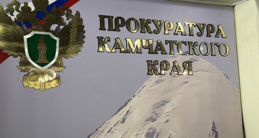 На Камчатке под суд пойдет любитель куриных окорочков