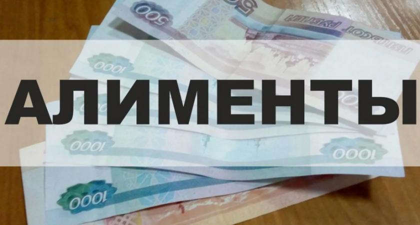 Житель Камчатки скрыл доходы «на стороне» и выплатил 14 миллионов рублей алиментов