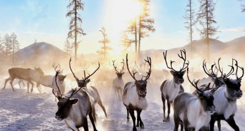 Арктике можно дать имя