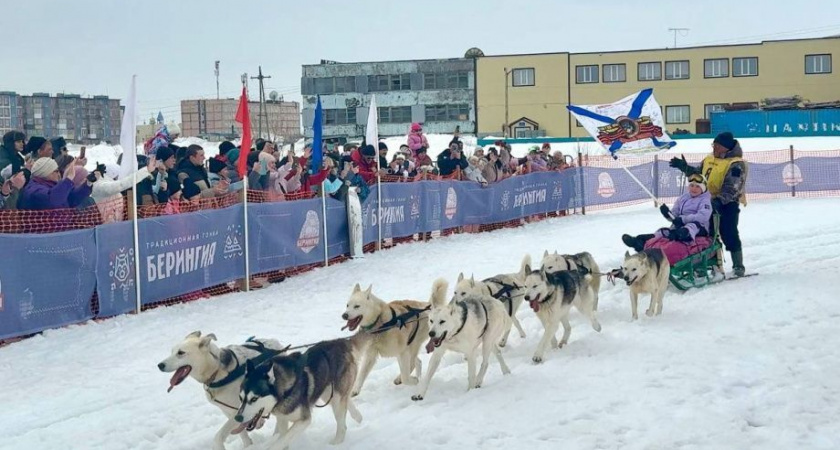  Все каюры финишировали! «Берингия – 2025» завершена!
