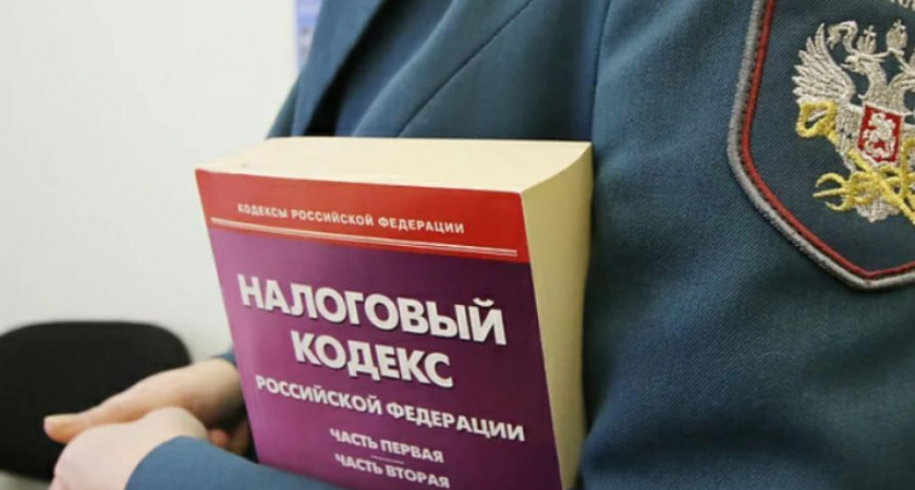 Уголовное дело о сокрытии крупной суммы налогов возбуждено на Камчатке