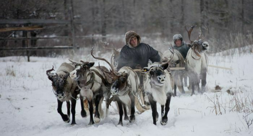 На Камчатке появились новые меры поддержки для молодых специалистов