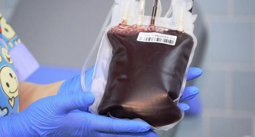 Жителям Камчатки объяснили, когда нельзя сдавать донорскую кровь