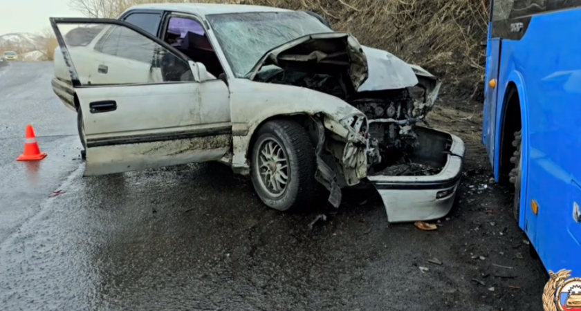 ДТП на Камчатке с участием автобуса устроил водитель без прав  