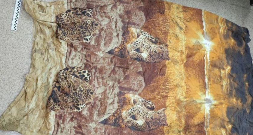 Полиция и следствие просят помочь в поиске виновным в гибели младенца на Камчатке