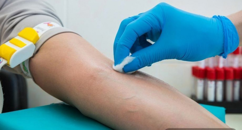 Жителям Камчатки рассказали о подробностях донорства костного мозга