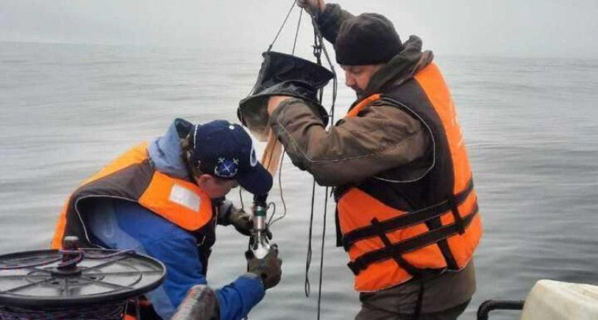 В Петропавловске-Камчатском снова зацвела вода в Авачинской губе