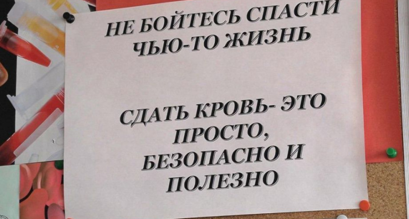 Камчатские врачи рассказали, почему необходимо регулярно сдавать донорскую кровь