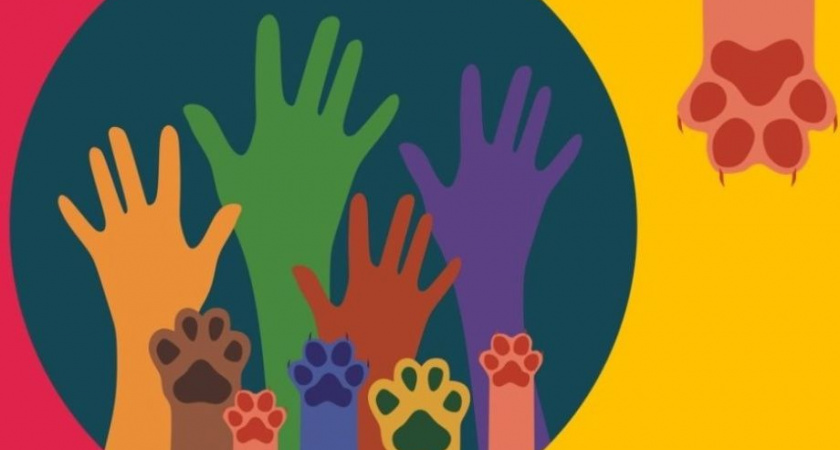 Камчатский пёс и спасатели косаток получили спецприз премии «Мой ласковый и нужный зверь»