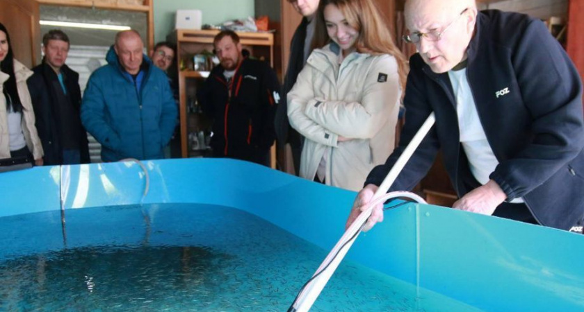 Депутаты ЗакСобрания Камчатки посетили уникальную рыбоводную ферму 