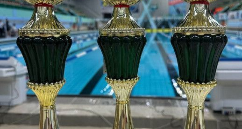 Кубок Петропавловск-Камчатского городского округа по плаванию состоялся во Дворце спорта