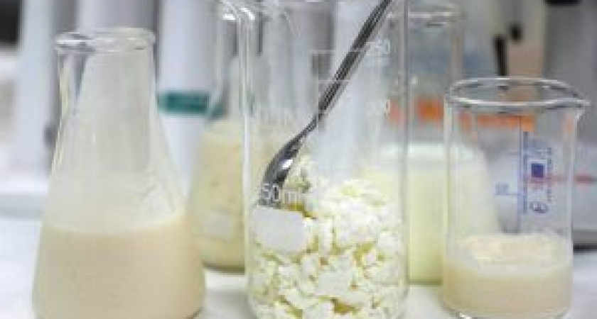 Сметана с кишечной палочкой обнаружена на Камчатке