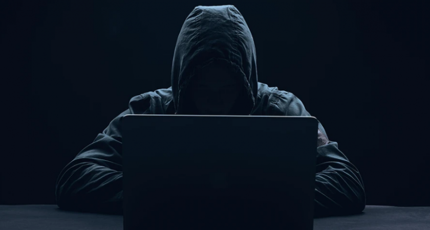 19-летний сын бизнес-леди с Камчатки перевел крупную сумму аферистам