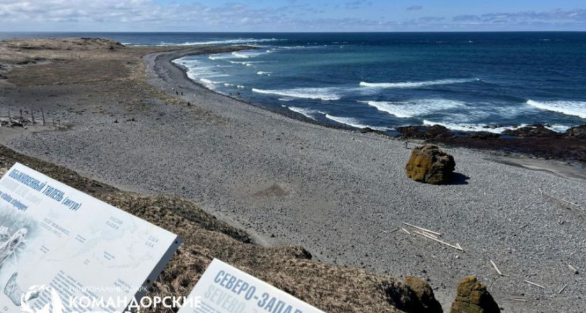 На Командорах сотрудники нацпарка преобразили лежбище котиков