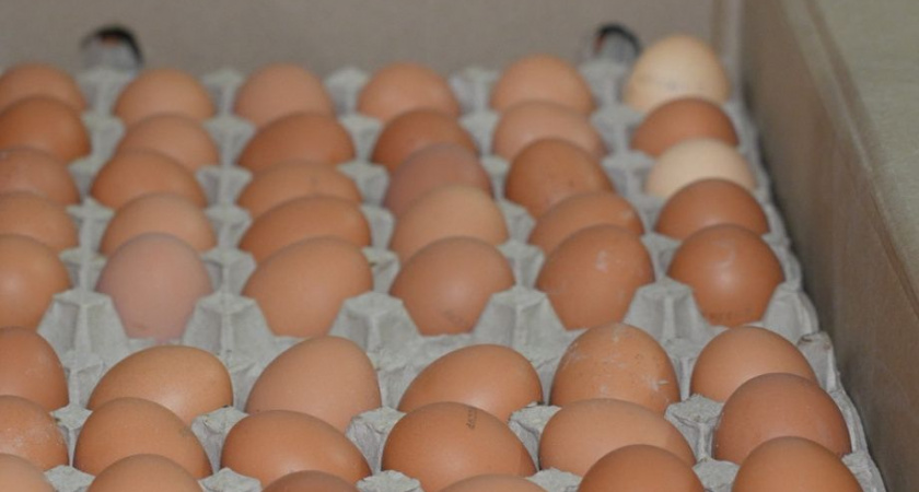 Инфляция на Камчатке: яйца подешевели, но дорожают лекарства