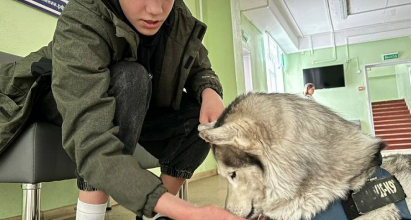 Кинологи Камчатки проводят уроки для школьников