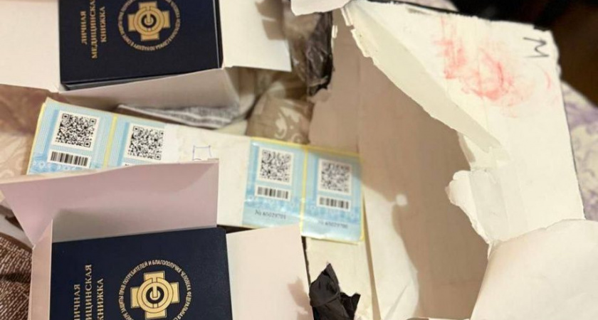 В столице Камчатки разоблачили сеть по производству фальшивых документов