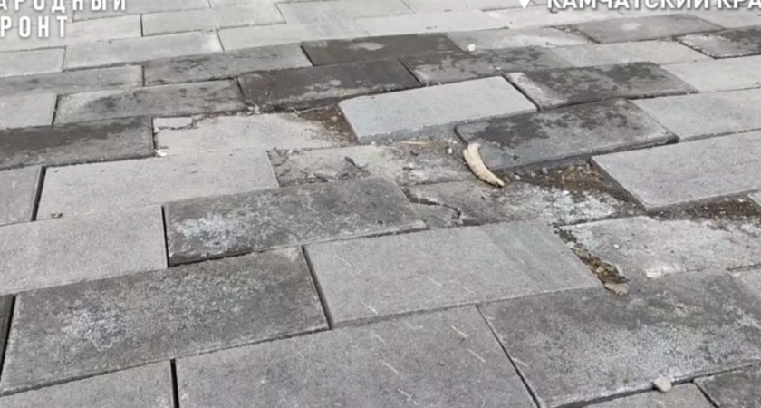 Московские гастролёры в столице Камчатки сорвали реконструкцию набережной за 109 млн