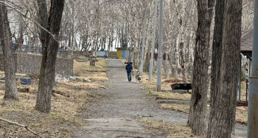 Парк "Электрон" в Петропавловске-Камчатском благоустроят