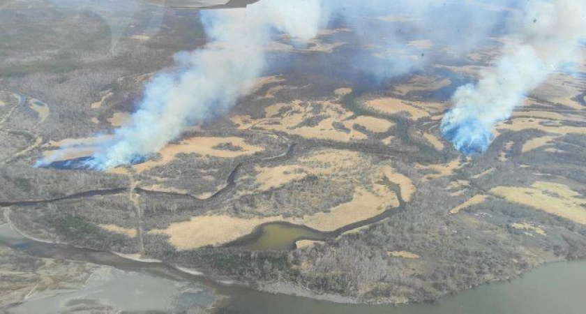 На Камчатке оперативно ликвидированы первые лесные пожары сезона