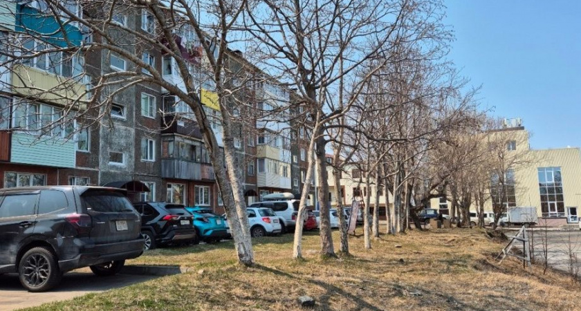 В столице Камчатки программу «Город 20/30» реализуют до 30 сентября