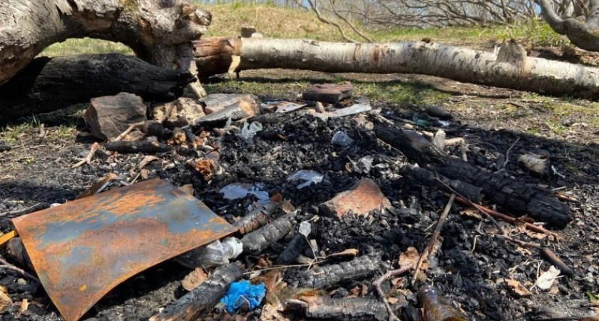 Школьники Козыревска на Камчатке узнали о работе лесных пожарных 