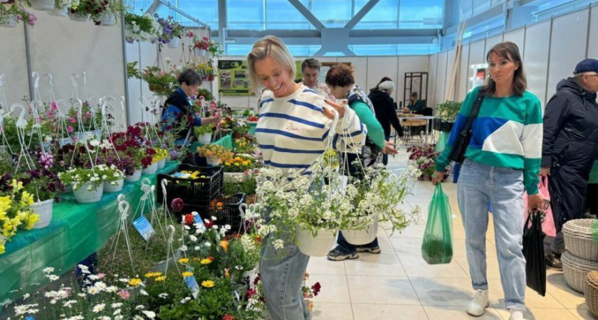 Жители Камчатки оценили "Искусство жить на даче"