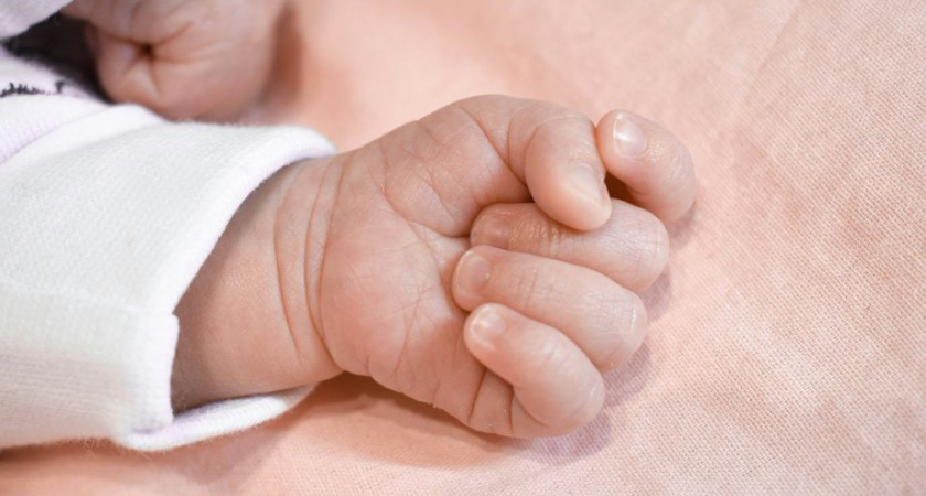 На Камчатке за 4 месяца родилось 910 малышей