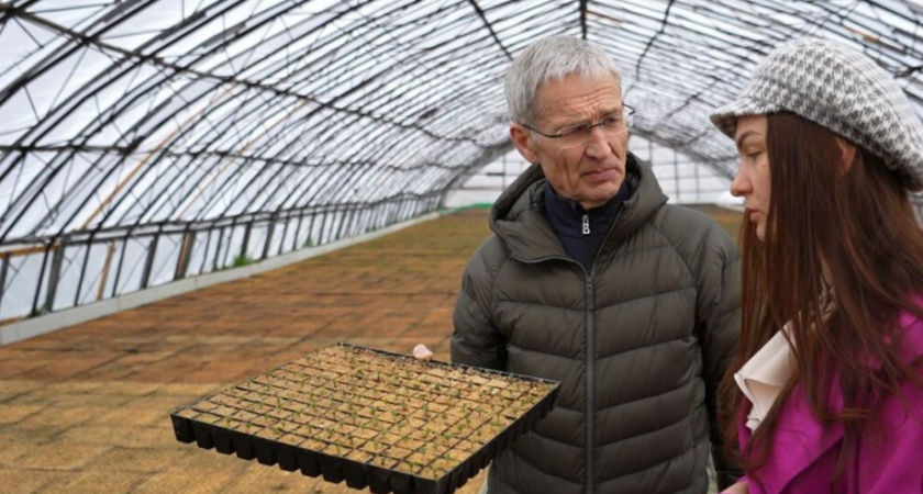 Камчатка готовится к высадке овощей