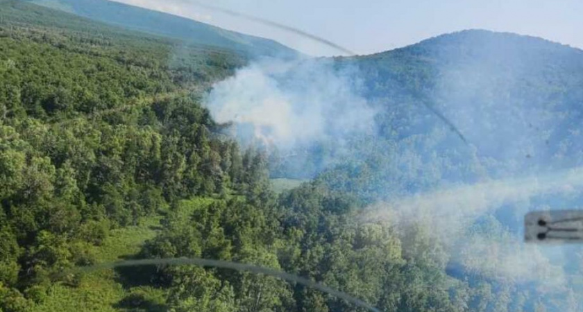 На Камчатке стартовали вертолётные мониторинговые облёты