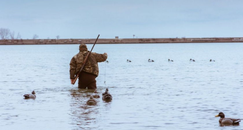 Весенний сезон охоты на пернатую дичь в Камчатском крае завершился