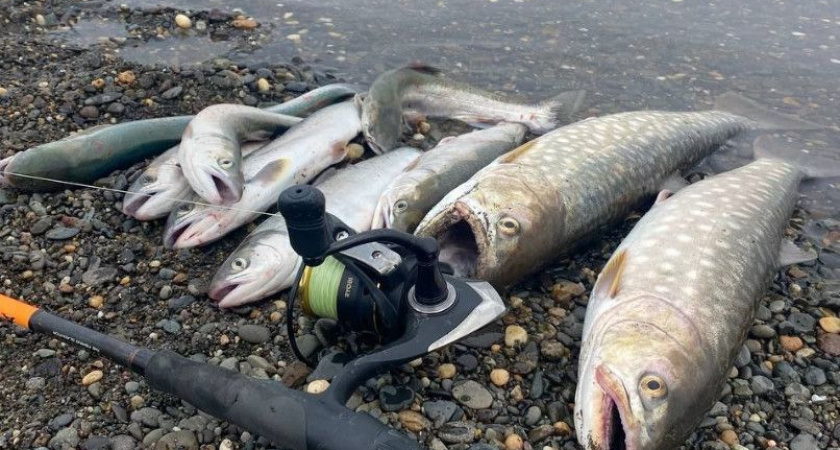 Камчатским рыболовам-любителям упростят выдачу разрешений