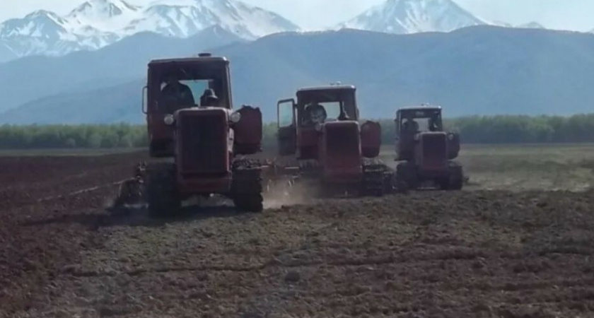 Камчатским фермерам разрешили "развернуться"