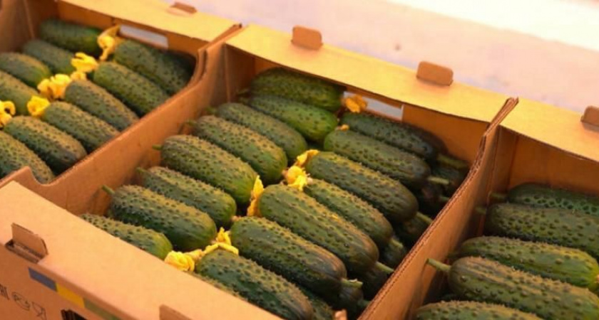 На Камчатке гостиницы и сыр дорожают, овощи и яйца дешевеют