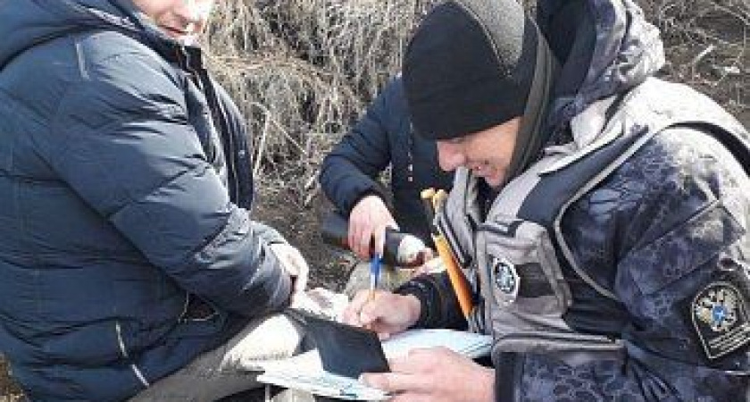 Рыбнадзор Камчатки за неделю пресек деятельность 80 браконьеров