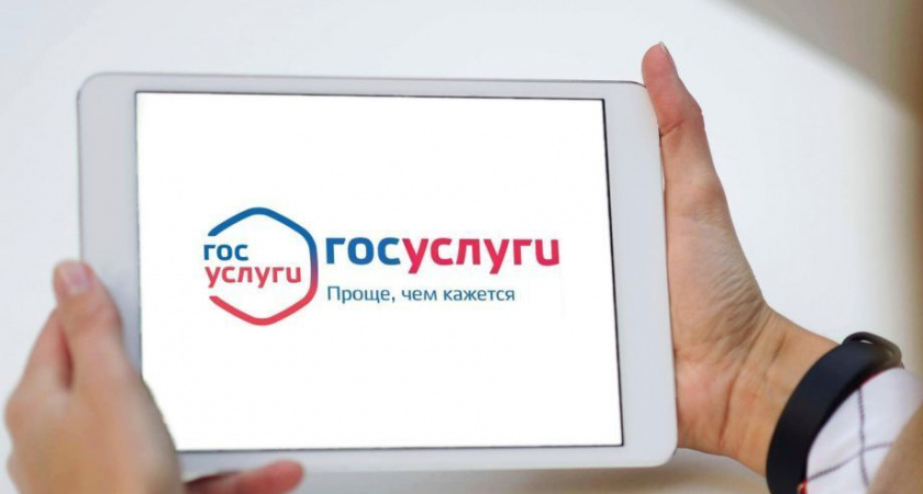 Камчатские депутаты разрешили сбор подписей для выборов через "Госуслуги"