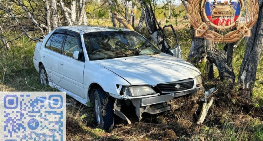 Камчатская автоледи в пьяном сне устроила ДТП на Мильковской трассе 