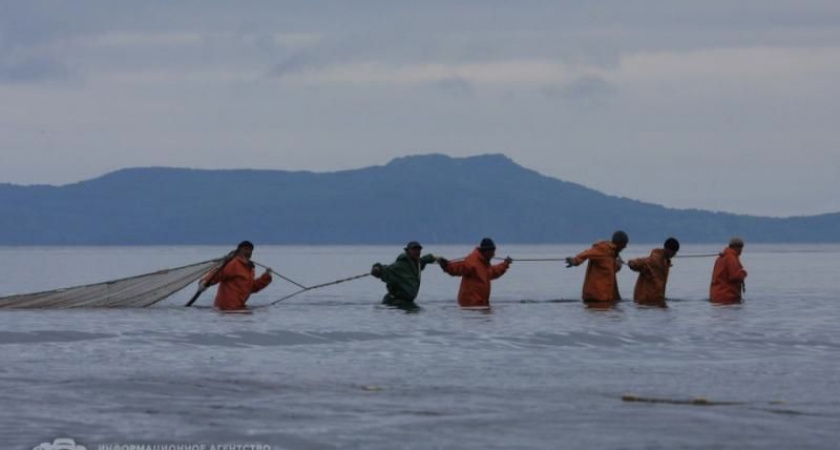 На Камчатке стартовала лососевая путина-2025