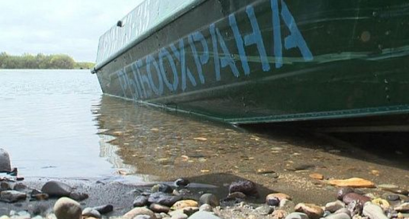 Рыбоохрана на Камчатке пресекла почти 100 нарушений за неделю