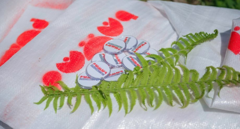 Фестиваль «ПапоротнИКРАб» состоится на Камчатке