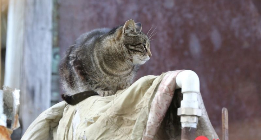 Завтра в Петропавловске-Камчатском начнут отключать отопление