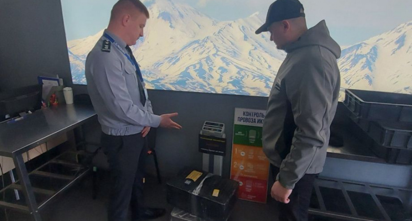 Камчатская икра летит на материк: за неделю вывезли 2 тонны деликатеса