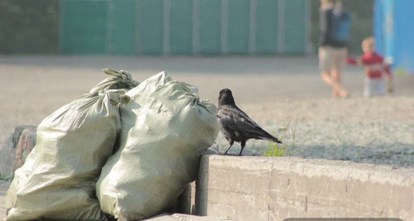 На Камчатке нарушают правила утилизации токсичных отходов