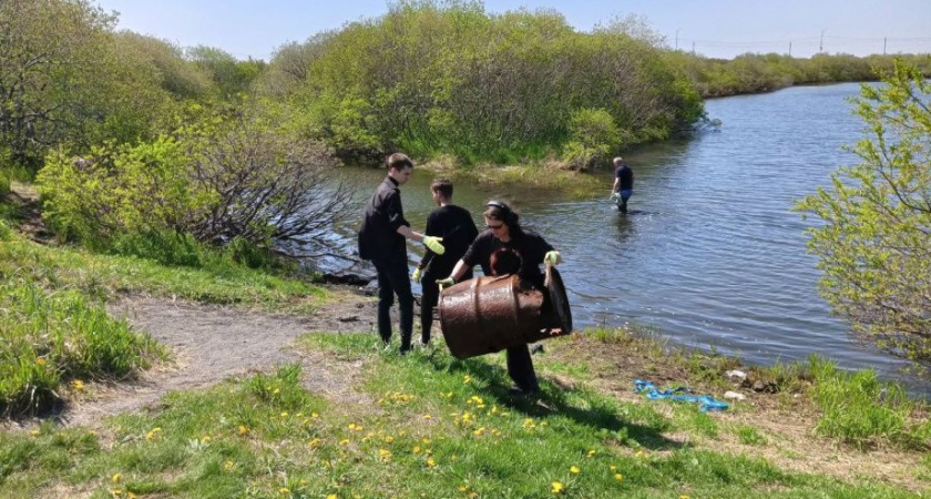 Побережье Камчатского залива очищают от мусора 