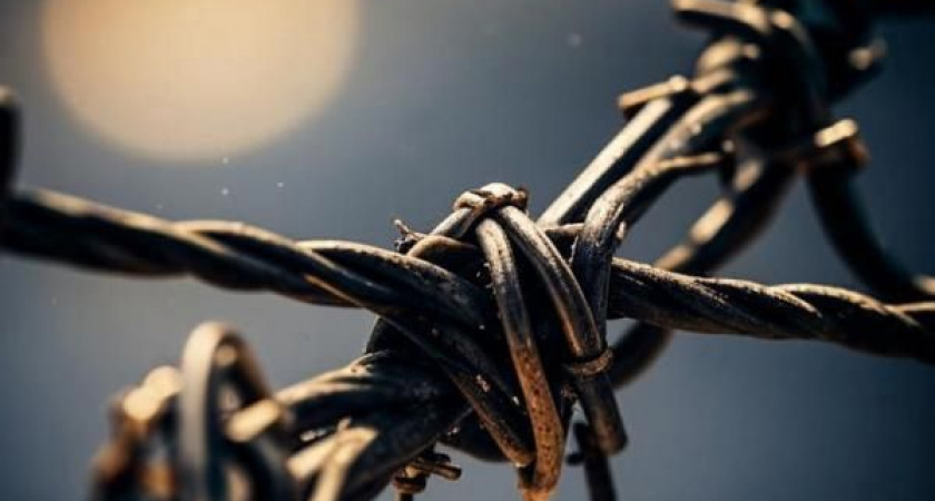 На Камчатке жителя Паланы отправили за решетку за зверскую расправу над щенком